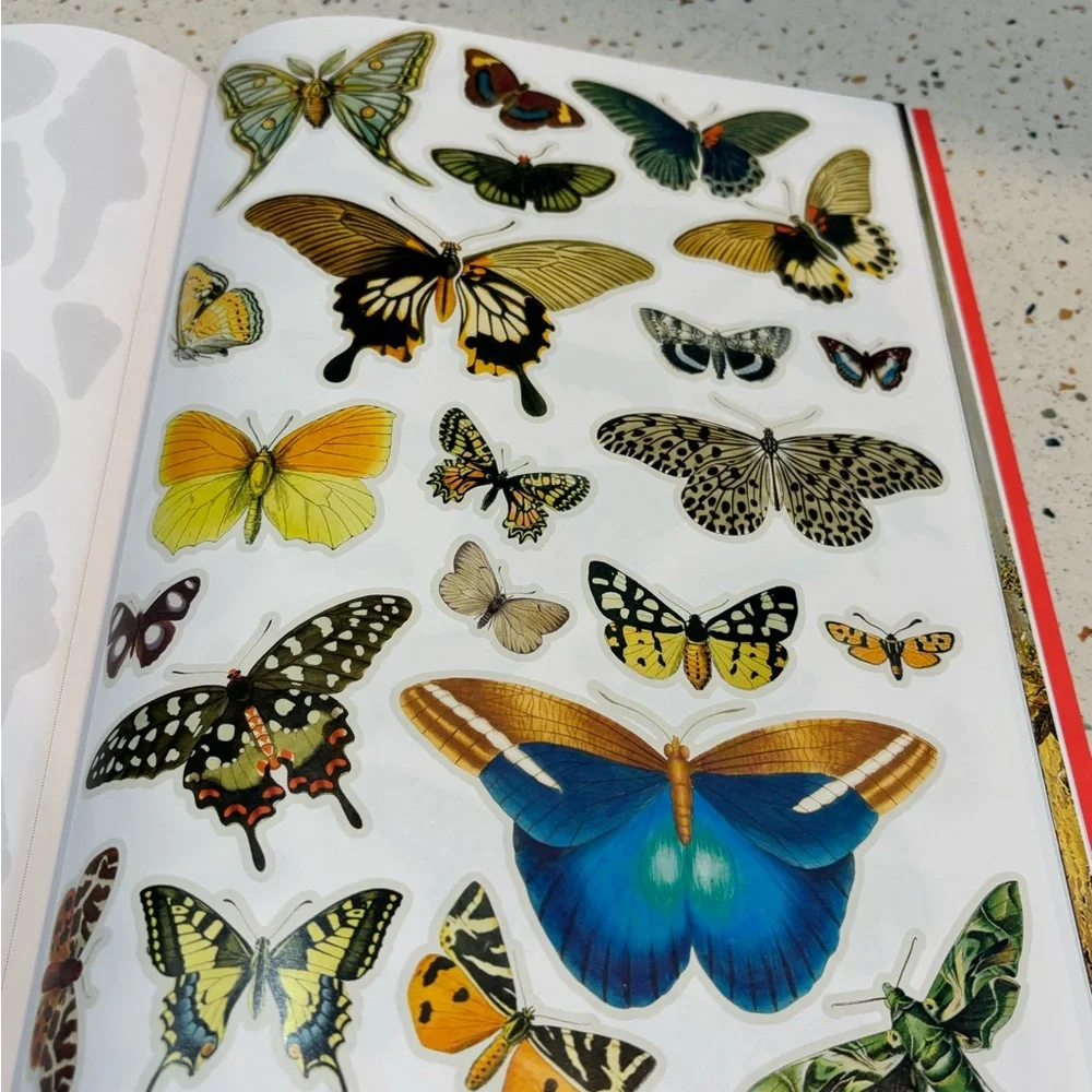 Extraordinary Things to Cut‎ Out and Collage by Maria Rivans – Over 1500 Images
